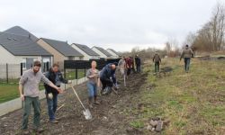 Plantations Cavalier   026